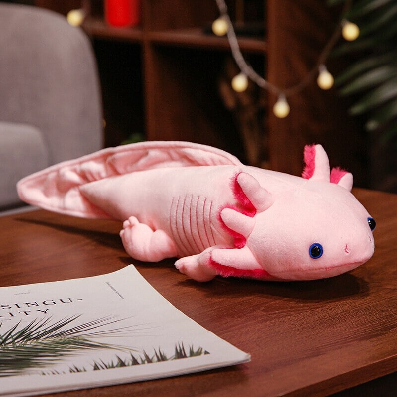 Cute Colorful Axolotl Soft Toy Set