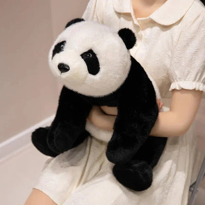 Cute Soft Panda Teddy Plush Toys