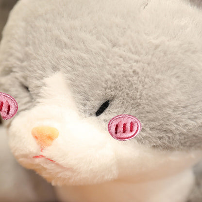 Cute Grey Cat Shark Stuffed Animal Toy - Fesara