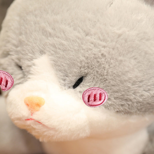 Cute Grey Cat Shark Stuffed Animal Toy - Fesara