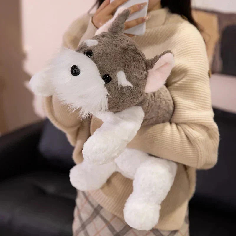 Cute Dog Soft Plush Toys - Fesara