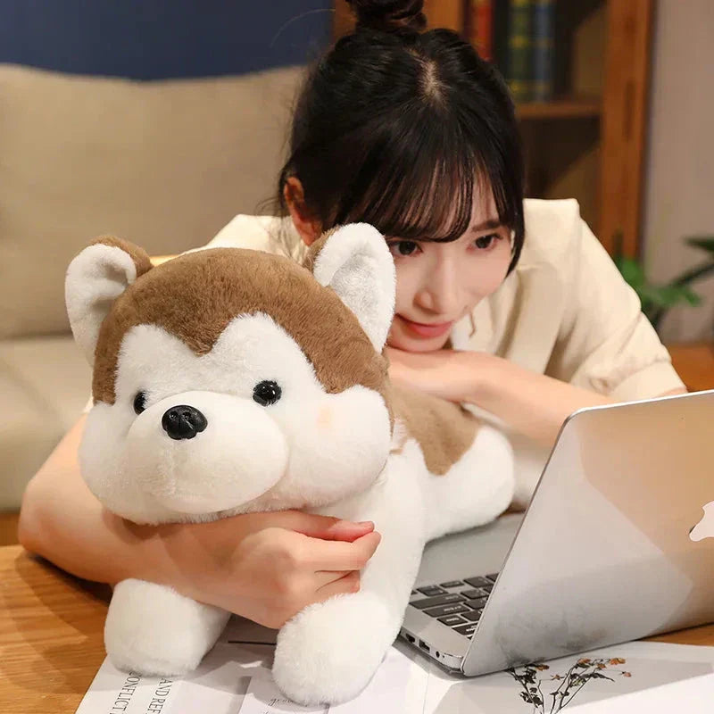 Cute Husky Teddy Plush Toy - Fesara