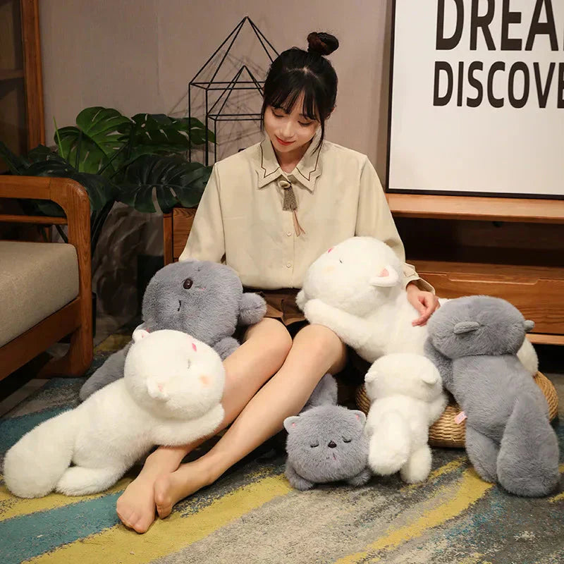 Adorable Plush Sleeping Kitty