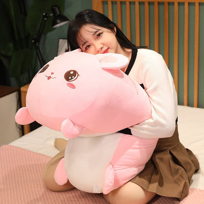Cuddly Cat Bunny Soft Plush Toys