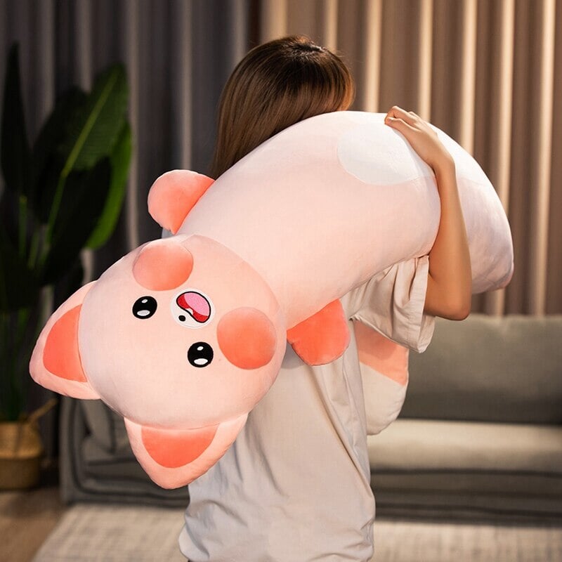 Cuddly Cat and Raccoon Soft Plush Toys