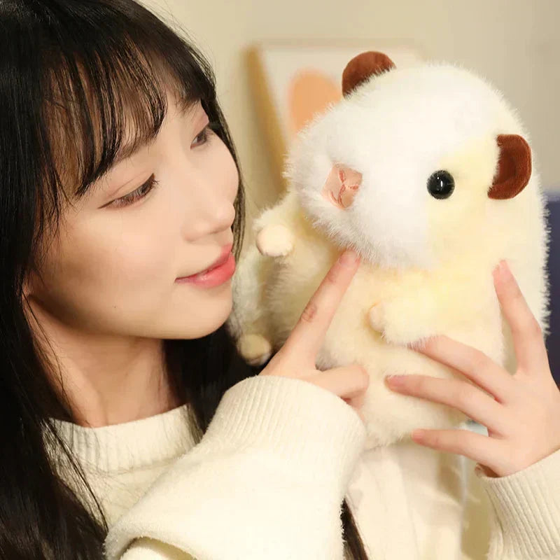 Cuddly Guinea Pig Soft Toy Plushies