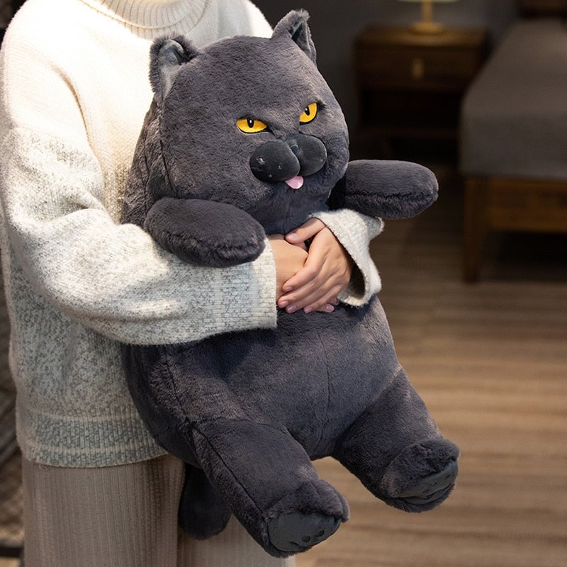 Funny Grumpy Cat Cuddle Toy - Fesara
