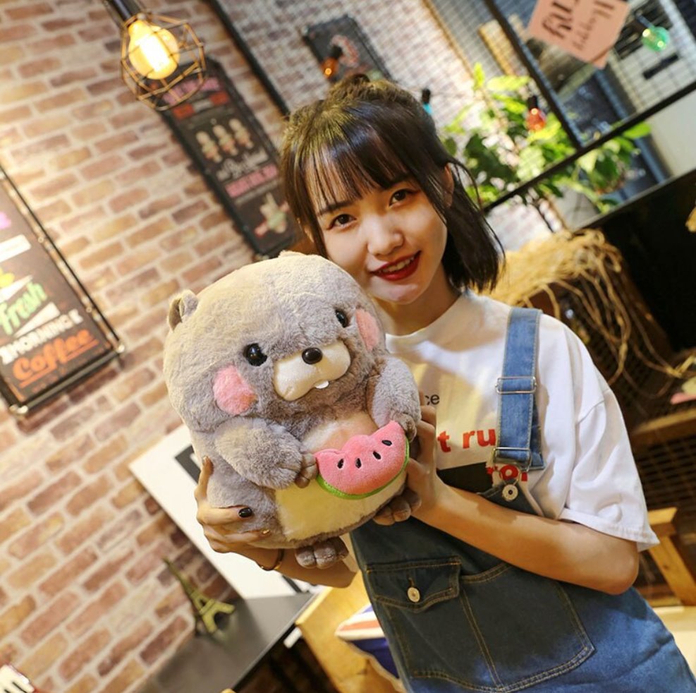 Cute Beaver Soft Plush Toys