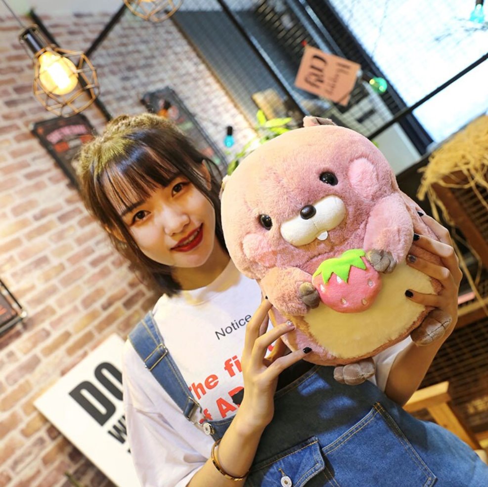 Cute Beaver Soft Plush Toys