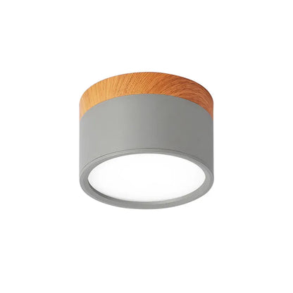 Simple Modern LED Ceiling Lamp