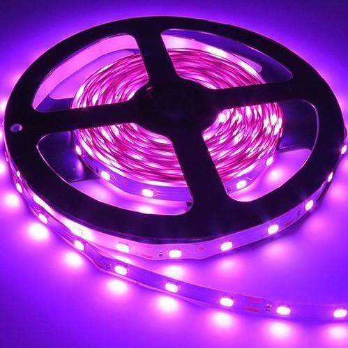 Bright 5M LED Strip Lights 12V 300 LEDs