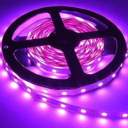 Bright 5M LED Strip Lights 12V 300 LEDs