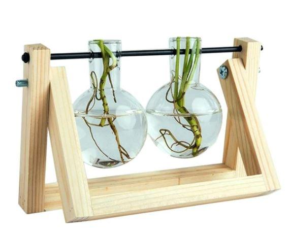 Easy Grow Plant Cutting Pots