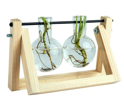 Easy Grow Plant Cutting Pots