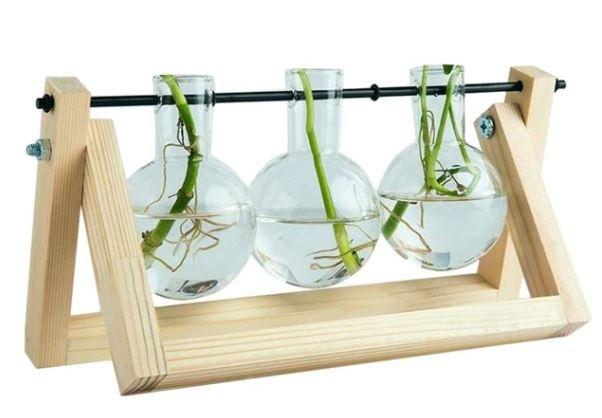 Easy Grow Plant Cutting Pots