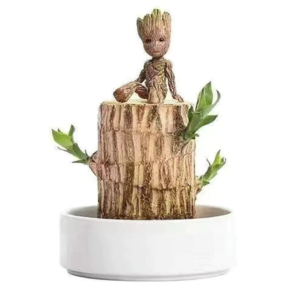 Natural Wooden Good Luck Plant Pot