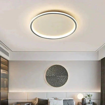 Simple Elegant Ceiling Lamp