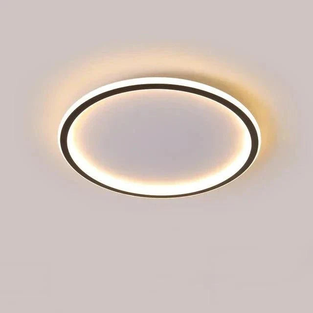 Simple Elegant Ceiling Lamp