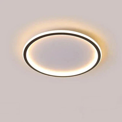 Simple Elegant Ceiling Lamp