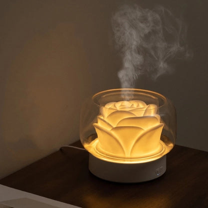Premium Aroma Essential Oil Diffuser with LED Light