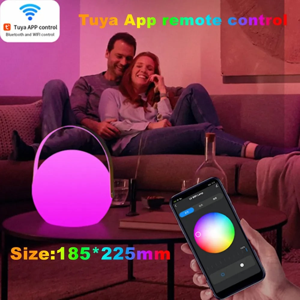 Wireless Outdoor Rechargeable Table Lamp with Remote