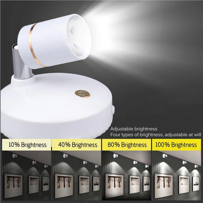 Bright Wireless LED Outdoor Spotlight