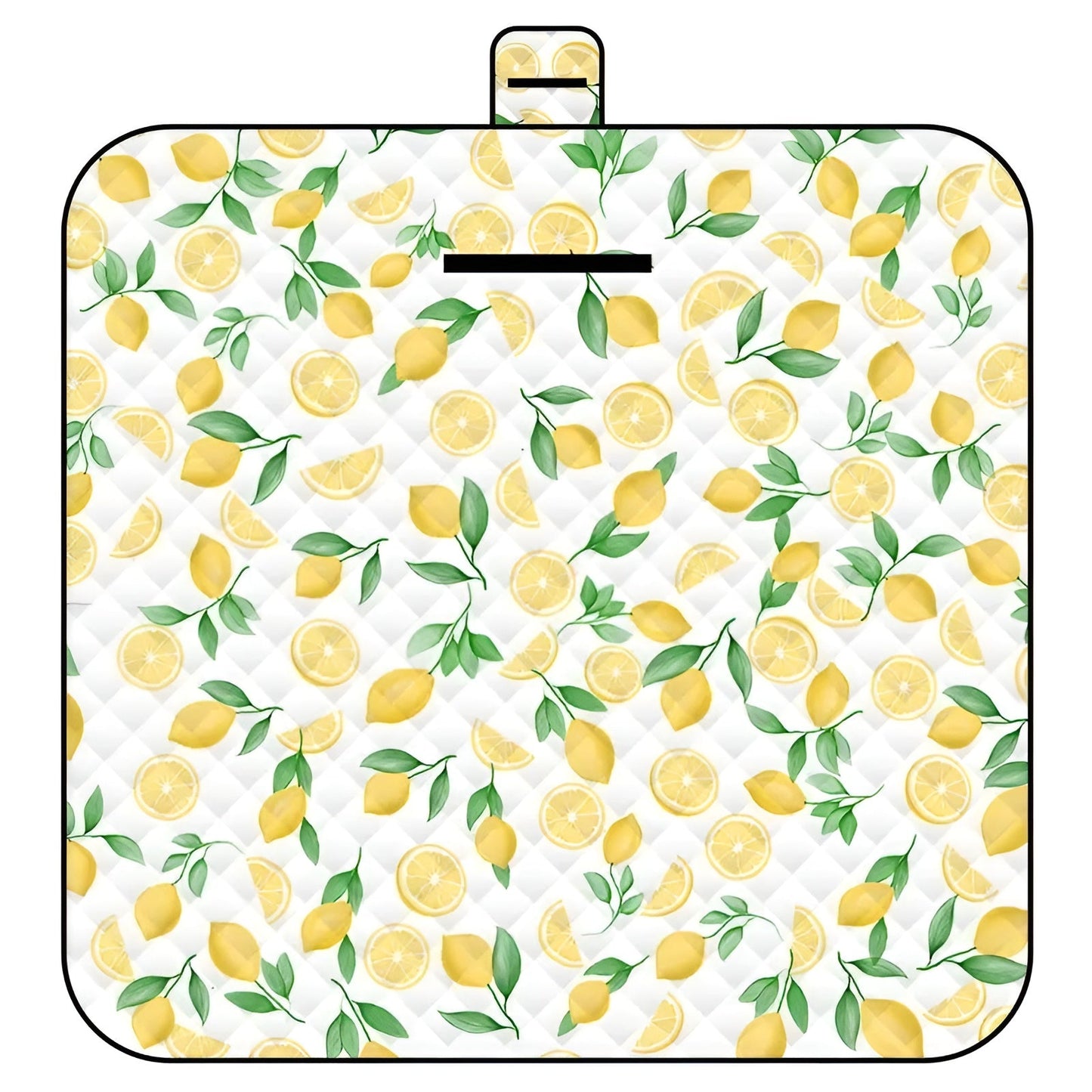 Portable Baby Play Mat, Waterproof & Padded