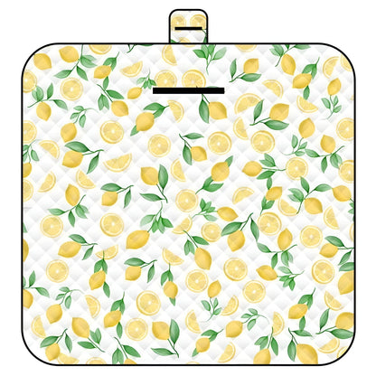 Portable Baby Play Mat, Waterproof & Padded