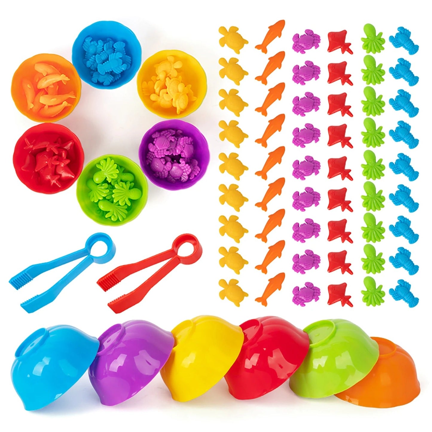 Fun Animal Sorting Montessori Toy Set