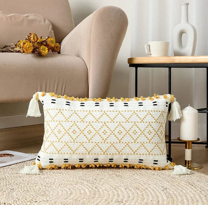 Elegant Velvet Pillowcase with Embroidered Pattern