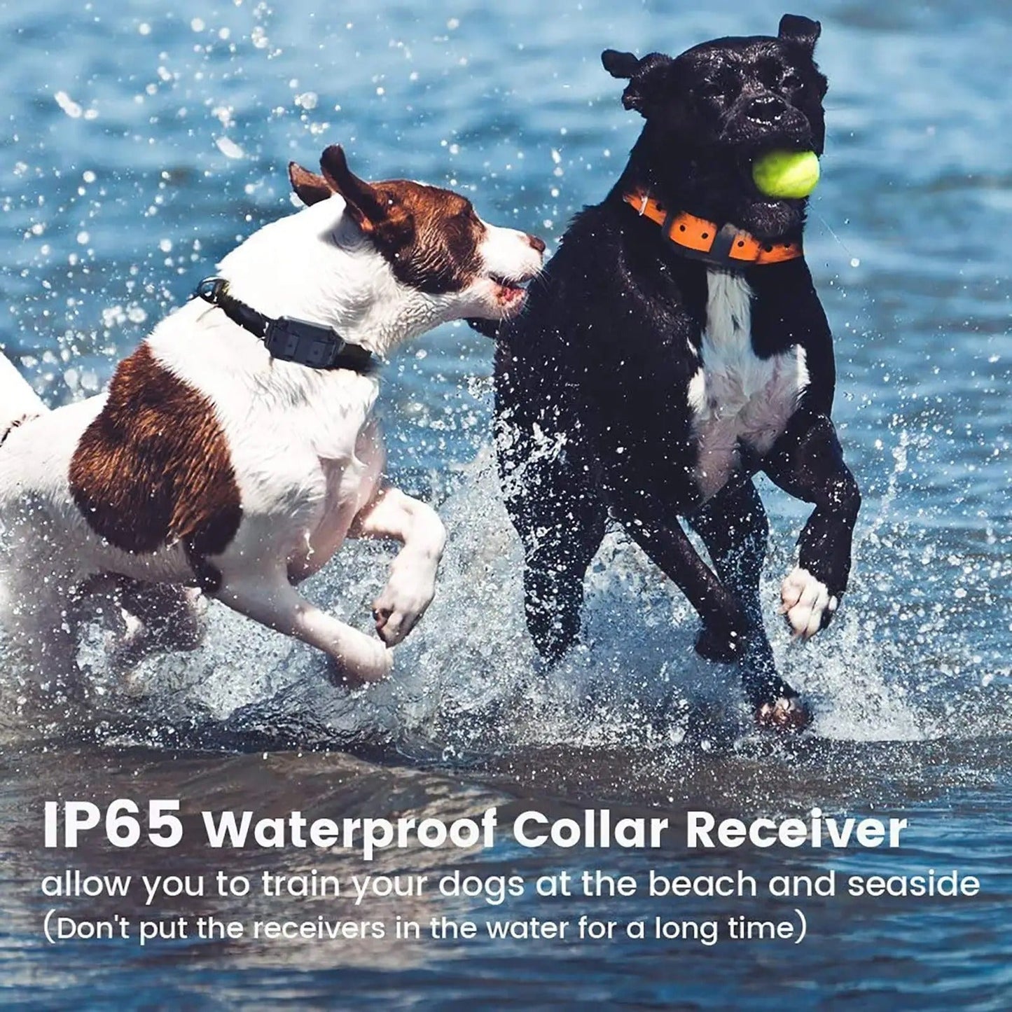Waterproof Remote Dog Training Collar - Long Range Shock Collar