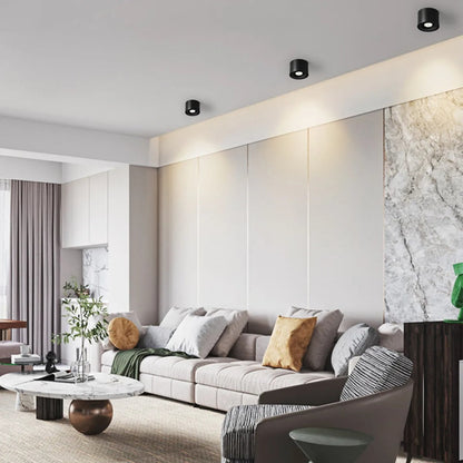 Adjustable LED Downlight Ceiling Spot Lamp