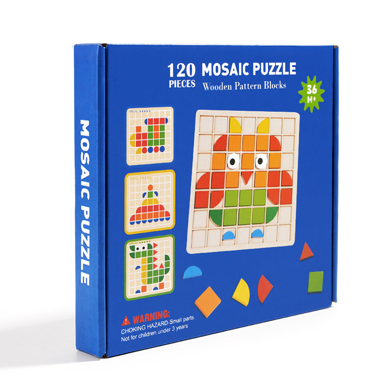 Colorful Wooden Brain Teaser Puzzle Set