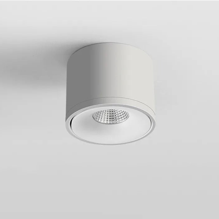 Adjustable LED Downlight Ceiling Spot Lamp