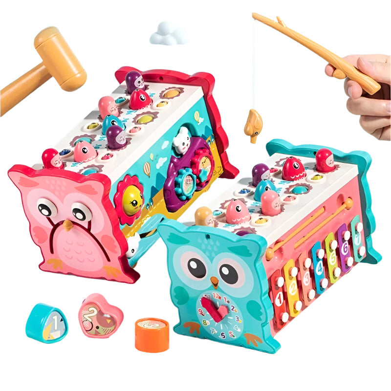 Fun Educational Owl Toy Set