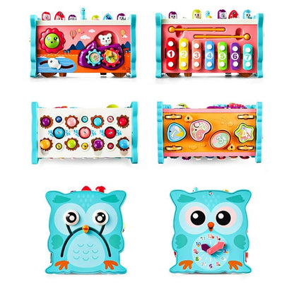 Fun Educational Owl Toy Set - Fesara