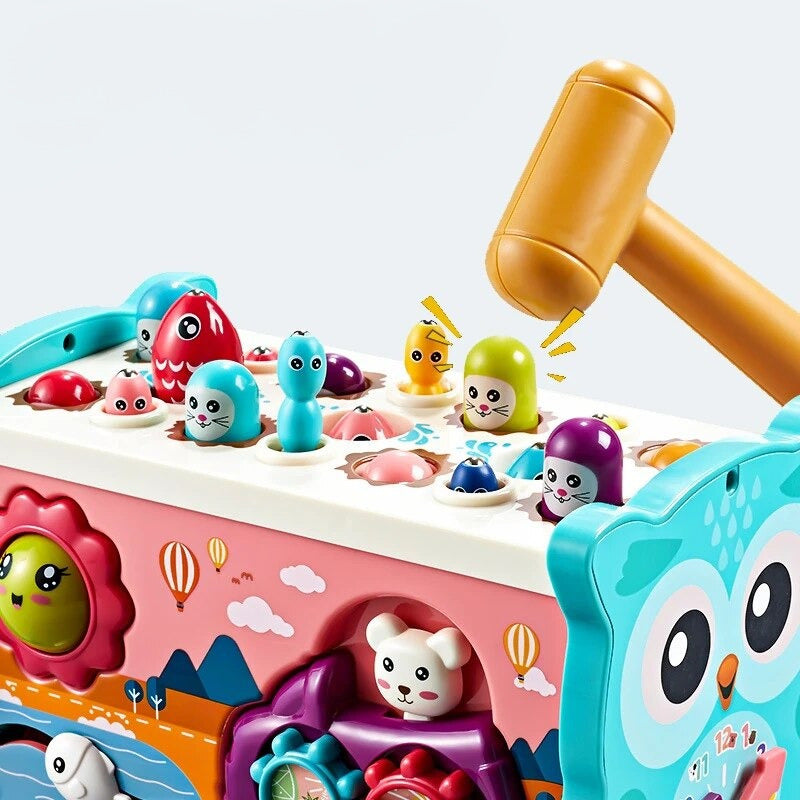 Fun Educational Owl Toy Set