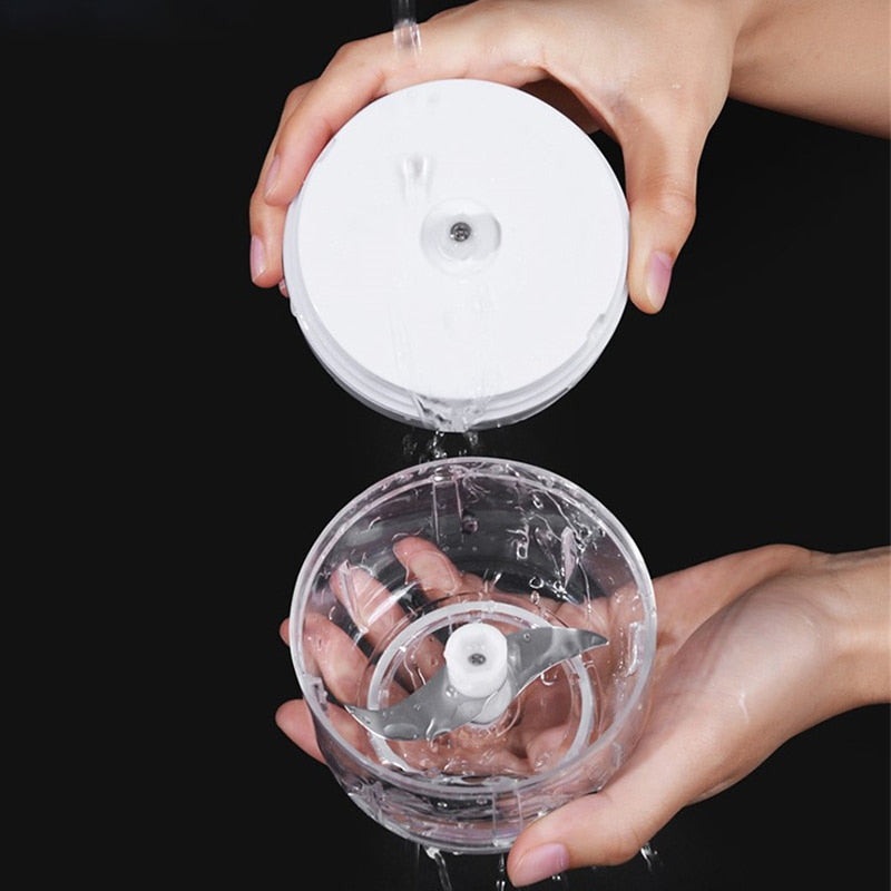 Portable Electric Food Chopper with Stainless Steel Blades
