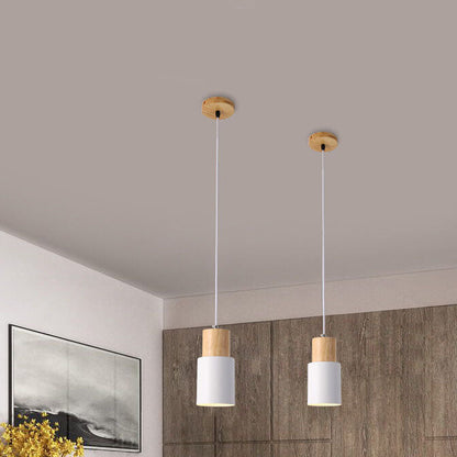 Simple Modern LED Pendant Light