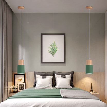 Simple Modern LED Pendant Light