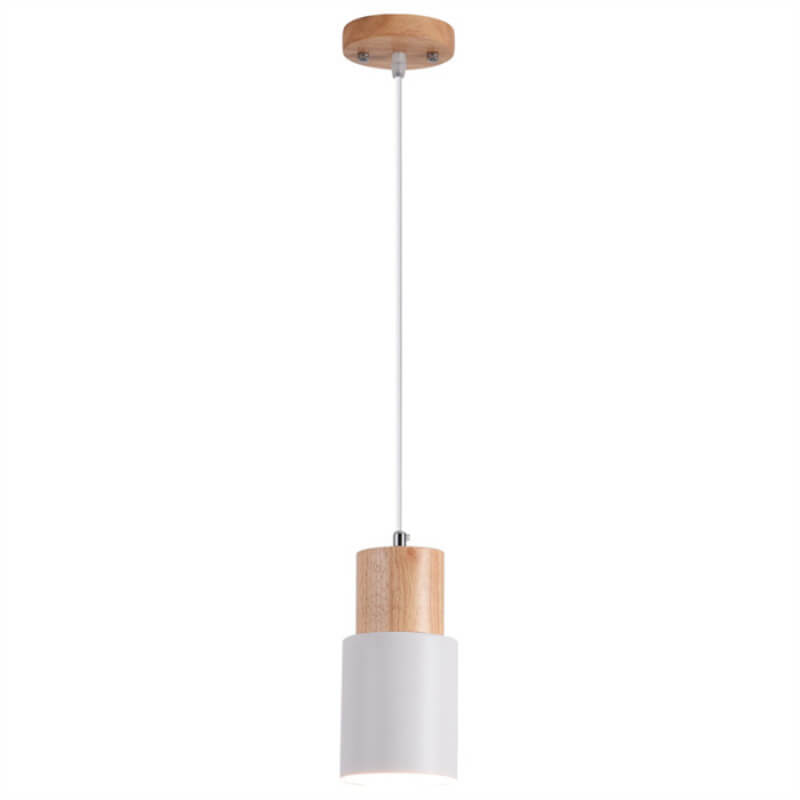 Simple Modern LED Pendant Light