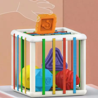 Montessori Shape Sorting Toy for Kids