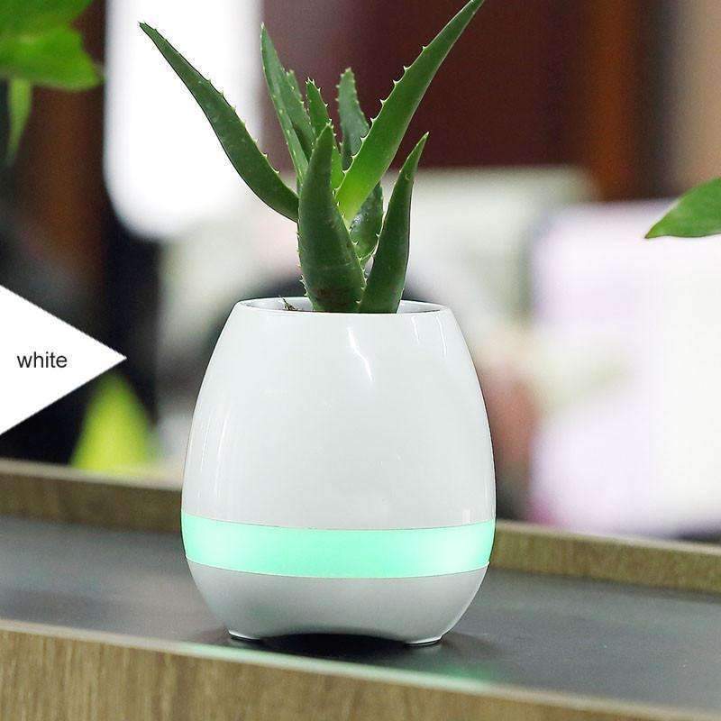 Blooming Music Planter Pot - Fesara