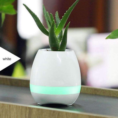 Blooming Music Planter Pot - Fesara