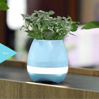 Blooming Music Planter Pot