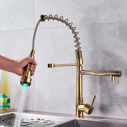 Dual Function Kitchen Sink Faucet