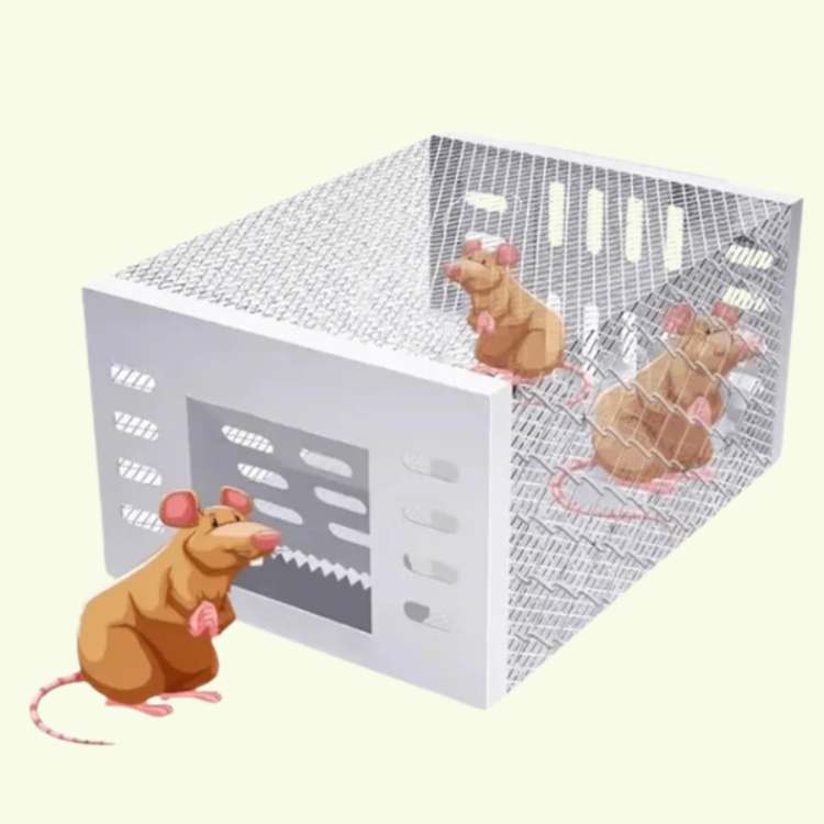 Effective Humane Stainless Steel Mouse Trap - Fesara