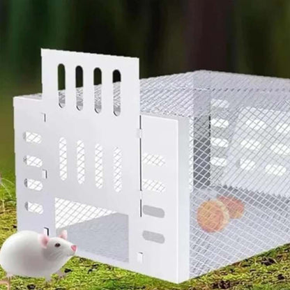 NoEscape Stainless Mouse Trap - Mouse Trap - Wild Eye Vision