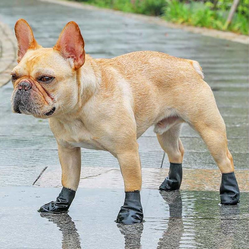 Waterproof Dog Booties with Traction and Cozy Protection