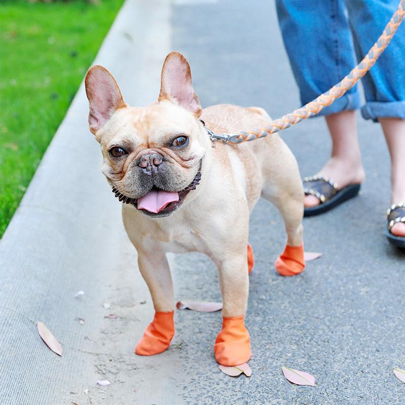 Waterproof Dog Booties with Traction and Cozy Protection